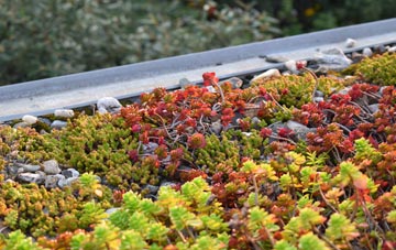 the cost of Ordiquhill green roof installation