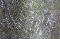 Ordiquhill fibreglass roof work